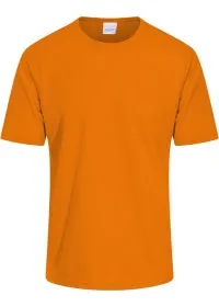 Custom Printed Cool Fit Tee Shirt JC001