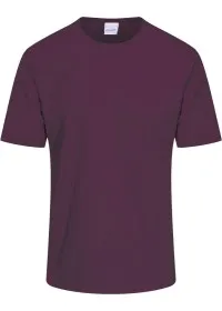 Custom Printed Cool Fit Tee Shirt JC001