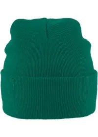BOTTLE GREEN