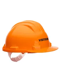 Visitor Printed Safety Helmet