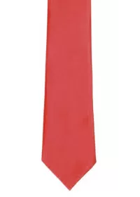 Custom Printed Clip on Tie