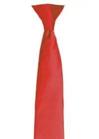 Custom Printed Clip on Tie