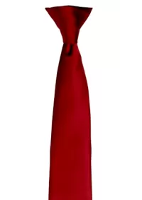 Custom Printed Clip on Tie