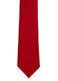 Custom Printed Clip on Tie