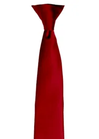 Custom Printed Clip on Tie