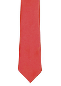 Custom Printed Clip on Tie