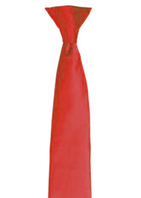 Custom Printed Clip on Tie