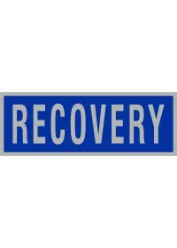 Recovery Reflective Badge - Blue/Silver