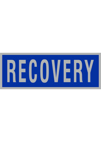 Recovery Reflective Badge - Blue/Silver