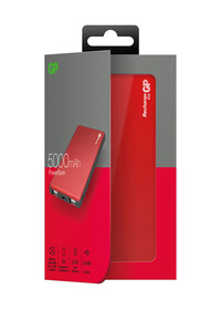 Heated Jacket Battery Pack RG004