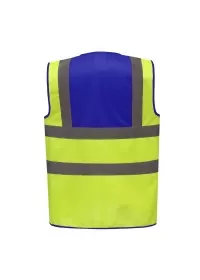 Yellow & Royal Blue Rear