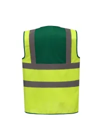 Yellow & Green Rear