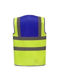 Yellow & Royal Blue Rear