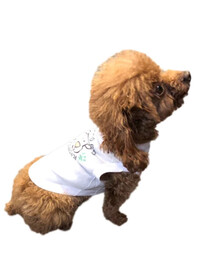 SB4031 Product Image.