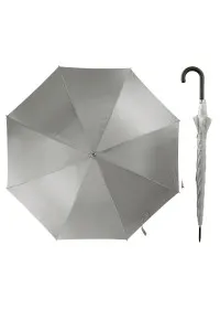 Silver 2