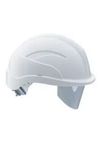 Centurion SPARE VISOR ONLY PK6 254911