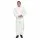 TYVEK disposable Pro Clean coverall