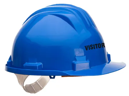 Visitor Printed Safety Helmet