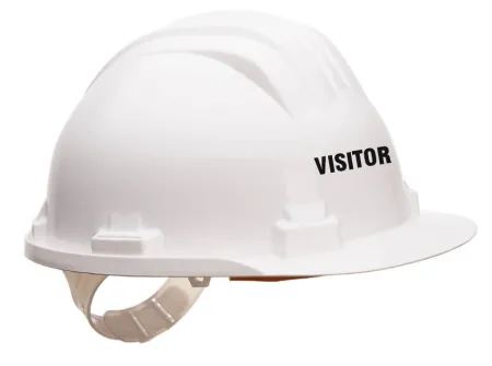 Visitor Printed Safety Helmet