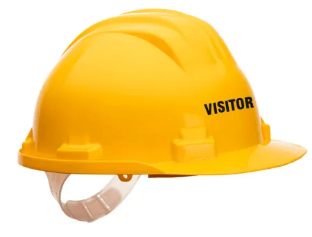 Visitor Printed Safety Helmet