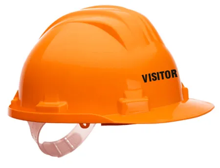 Visitor Printed Safety Helmet
