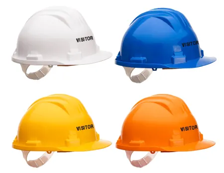 Visitor Printed Safety Helmet