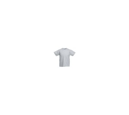 Fruit of the Loom SS031 Heather Grey