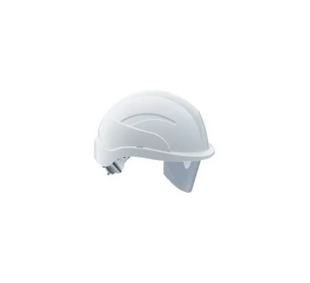Centurion SPARE VISOR ONLY PK6 254911