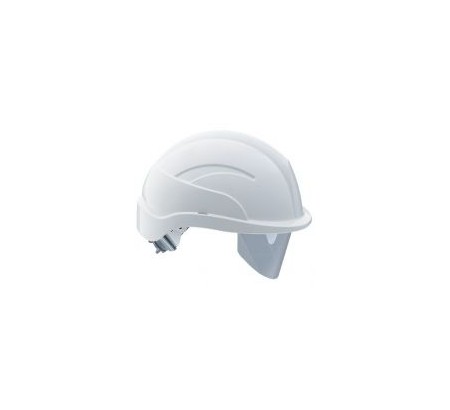 Centurion SPARE VISOR ONLY PK6 254911