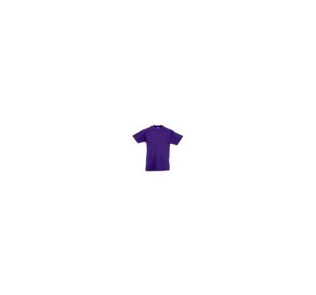 Fruit of the Loom SS031 Purple