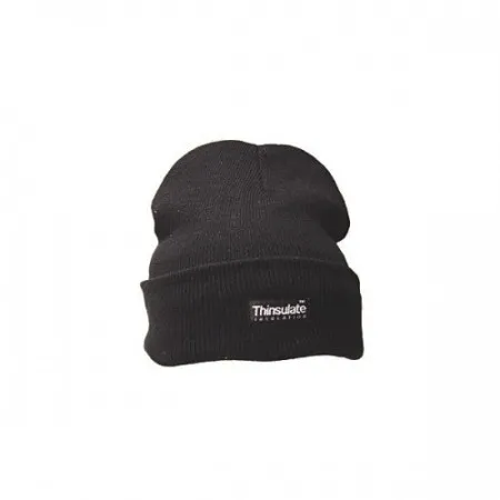 Thinsulate Wool Hat
