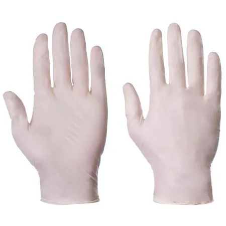 Latex Powder free Glove Medical Grade x 100 304857