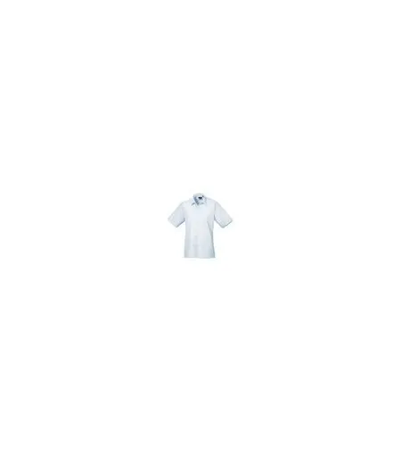 Premier PR202 Light Blue