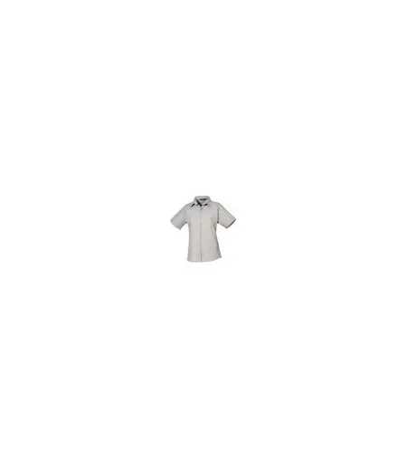Premier PR302 Silver