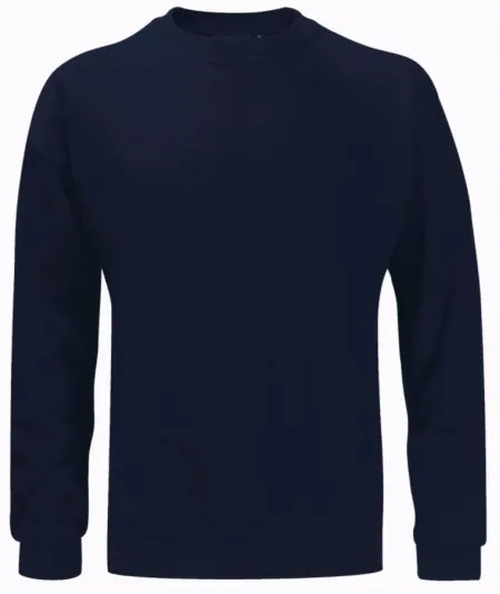 Premium Heavy weight Sweatshirt SWS340