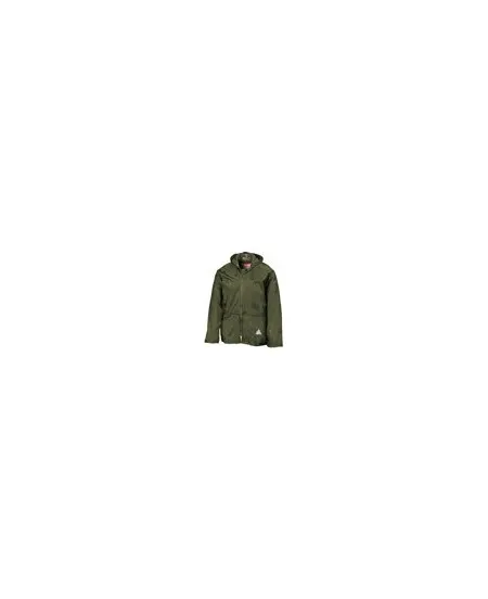 Result RE95A Olive