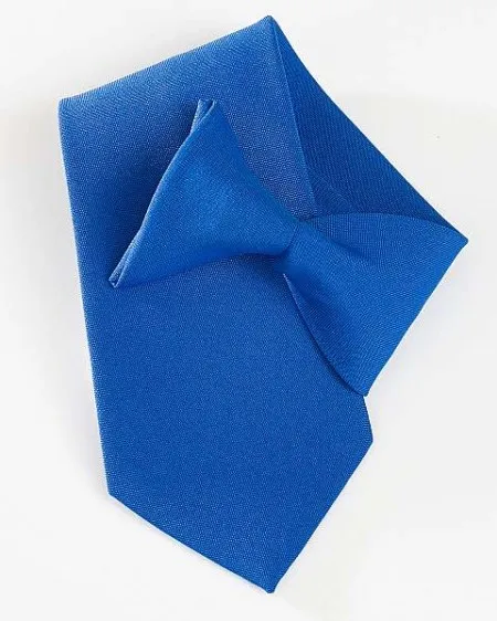Royal blue clip on tie