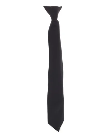 Clip on Tie