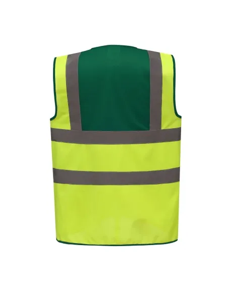 Yellow & Green Rear