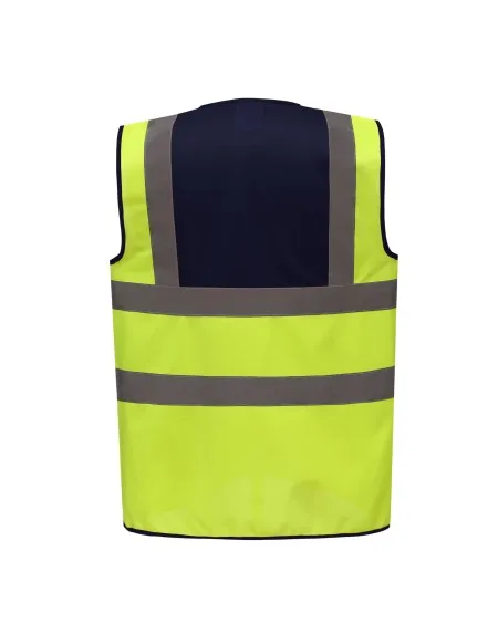 Yellow & Navy Rear