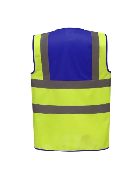 Yellow & Royal Blue Rear