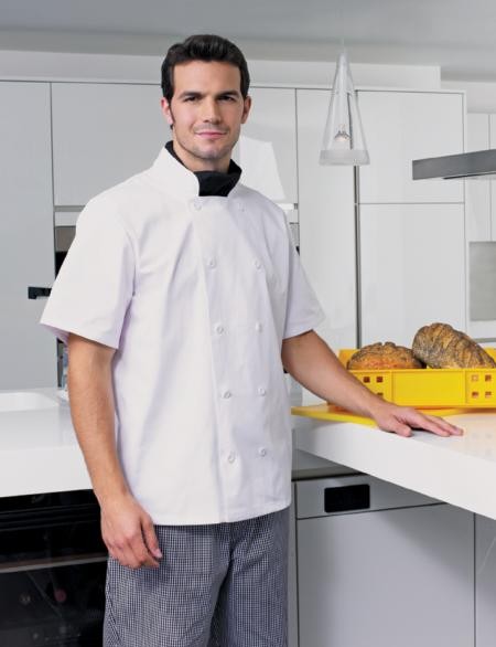 Premier PR656 Short SL chef