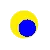 Yellow/Royal