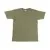 Classic Olive