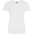 Arctic White