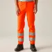 Regatta Hi Vis Pro Contract Stretch Action Trouser TRJ629