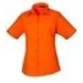 Premier PR302 Orange