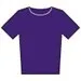 Fruit of the Loom SS005 Purple