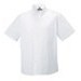 Russell Collection J917F White