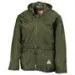 Result RE95A Olive